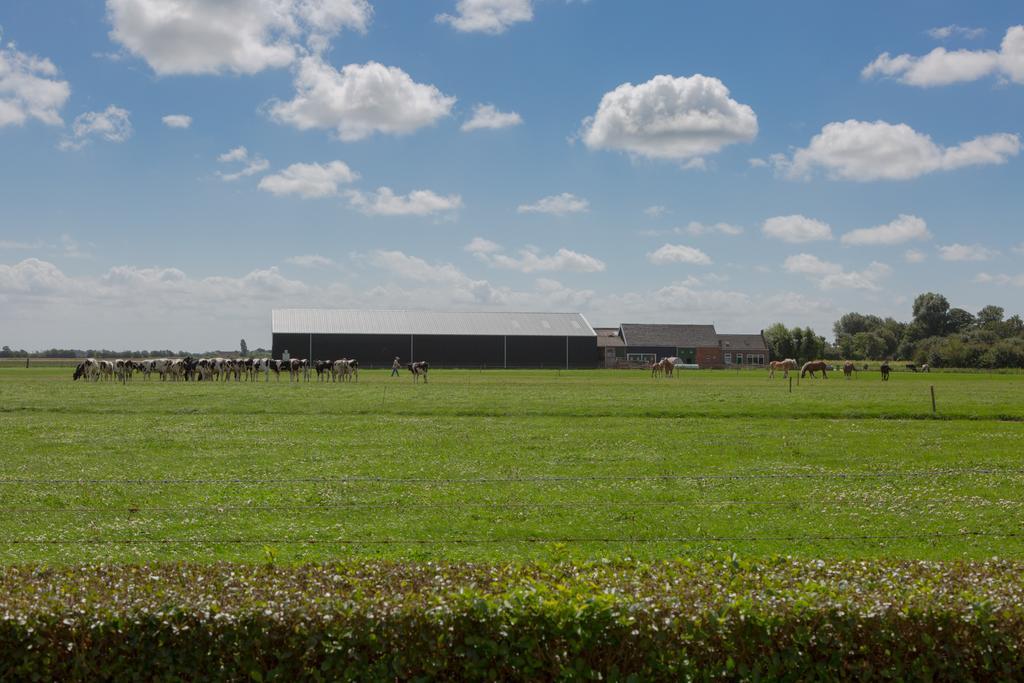 Welcome In - De Grote Geere Oostkapelle Exterior foto